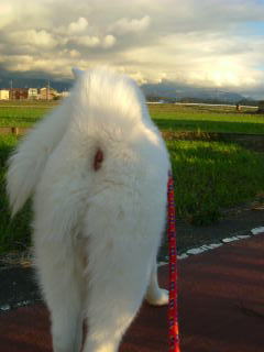 a0187087_232544.jpg