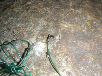 c0146788_1745012.jpg