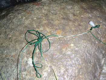 c0146788_1745018.jpg