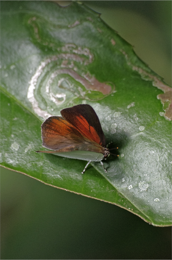 d0209988_203127.jpg