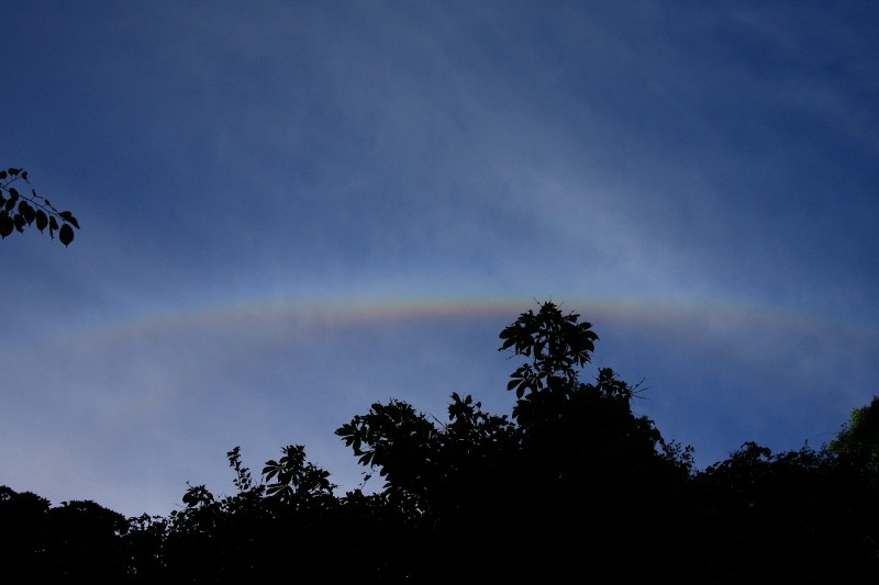f0129994_1542418.jpg
