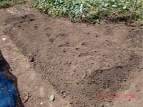 c0151898_14484348.jpg