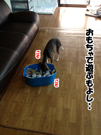 e0290901_15454047.png
