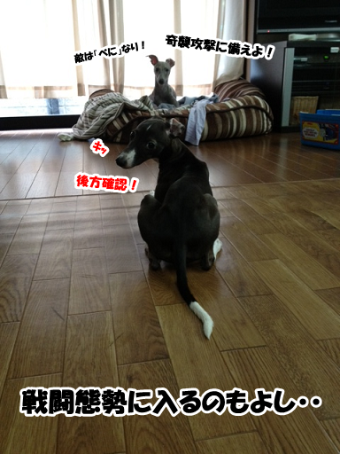 e0290901_1547131.png