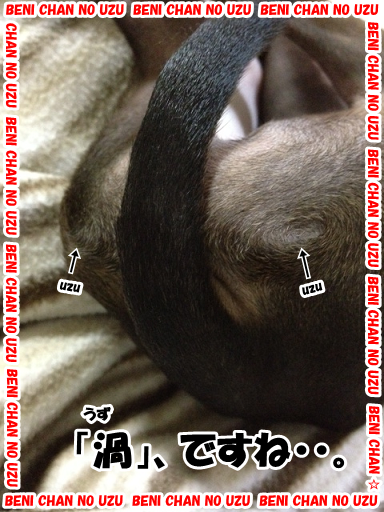 e0290901_166920.png