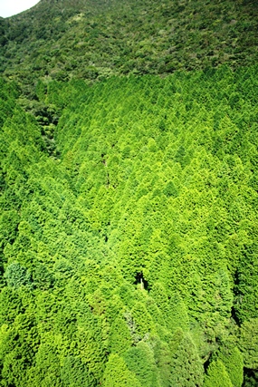 f0218002_9402118.jpg