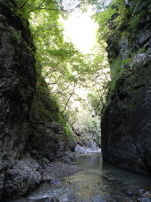 b0172805_9532341.jpg