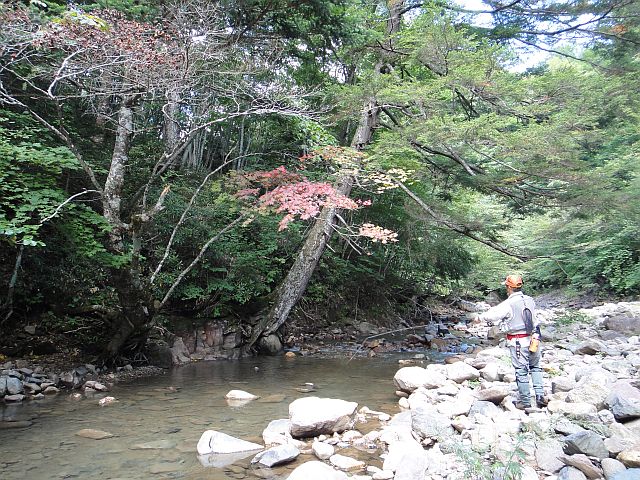 b0172805_95346100.jpg