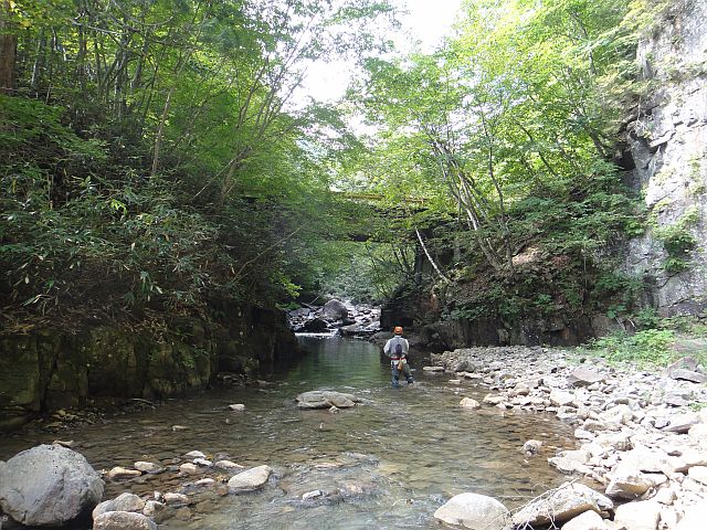 b0172805_954328.jpg