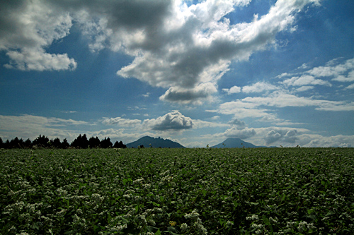 b0014607_2061168.jpg