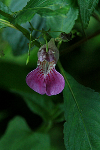 b0014607_207669.jpg