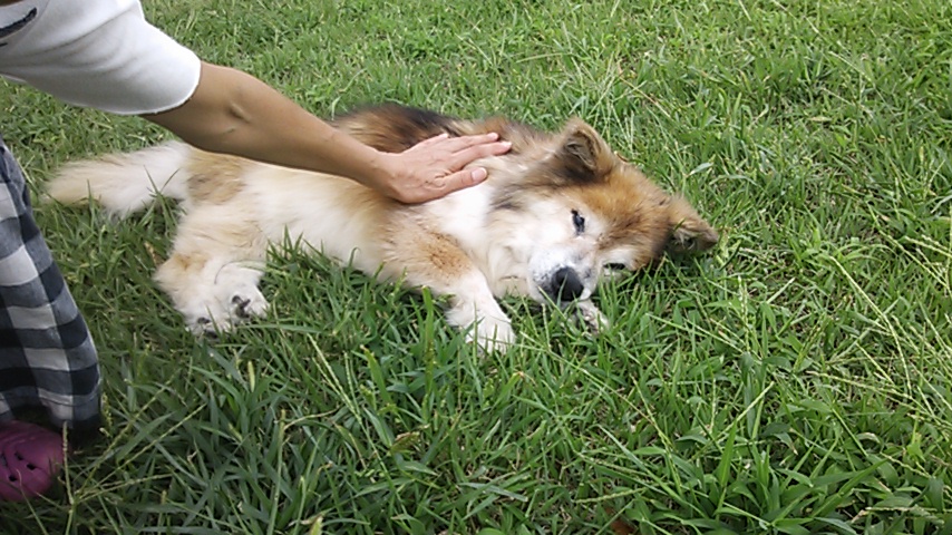 c0029913_031067.jpg