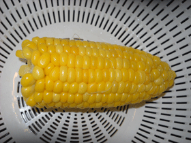 c0146127_16123992.gif