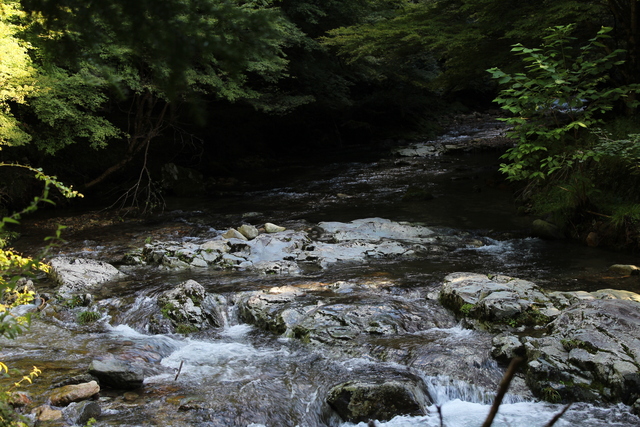 b0242134_1382622.jpg