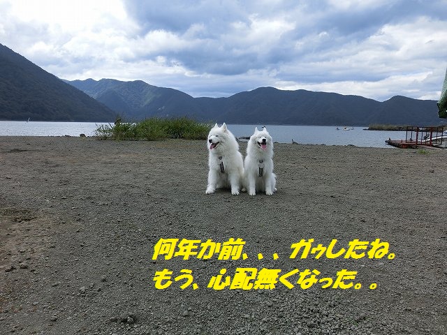 e0196135_20181883.jpg