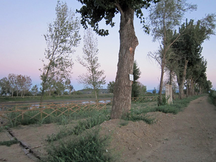 f0234936_19233996.jpg