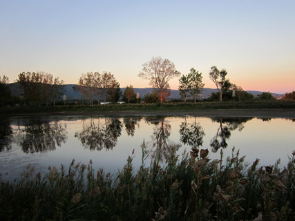f0234936_1924218.jpg