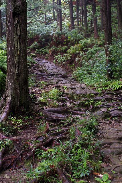 e0083238_21204140.jpg