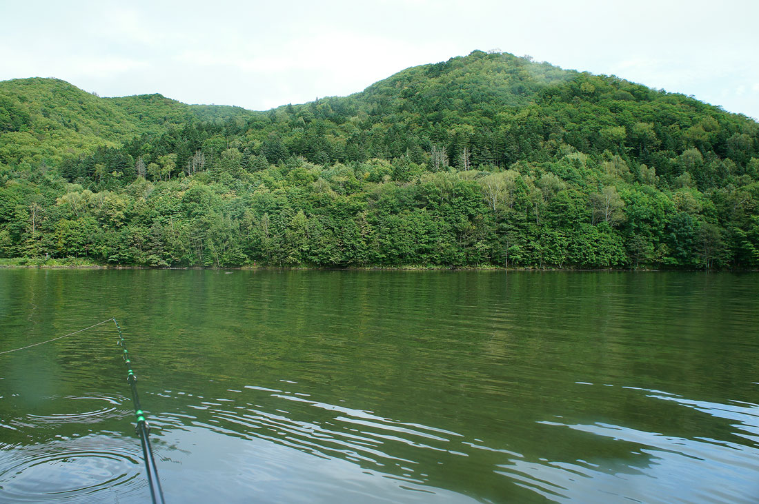 b0072541_2123152.jpg