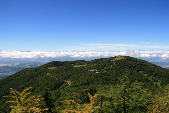 e0007544_681254.jpg