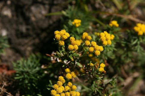 e0007544_684492.jpg