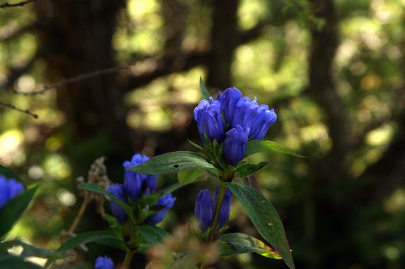 e0007544_691691.jpg
