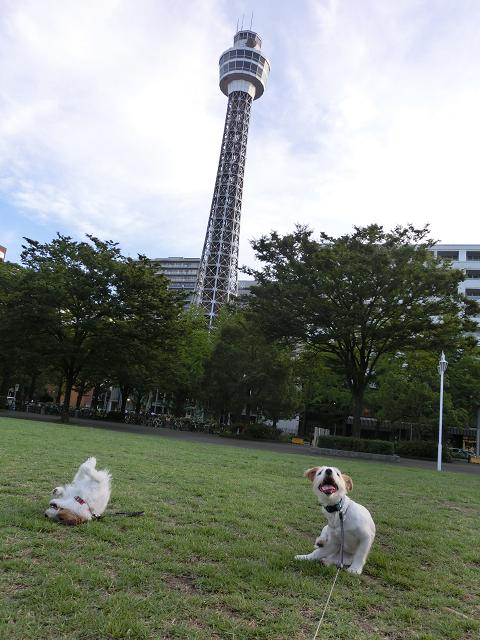 c0156345_12194367.jpg