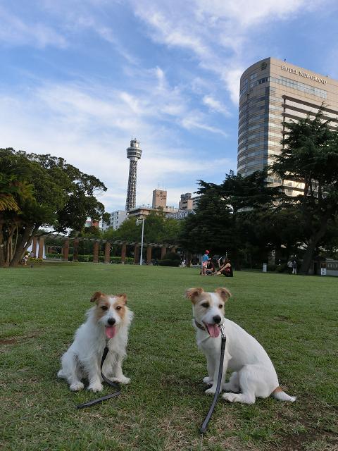 c0156345_12202435.jpg