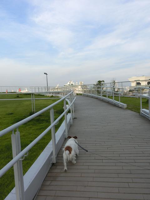 c0156345_12204637.jpg