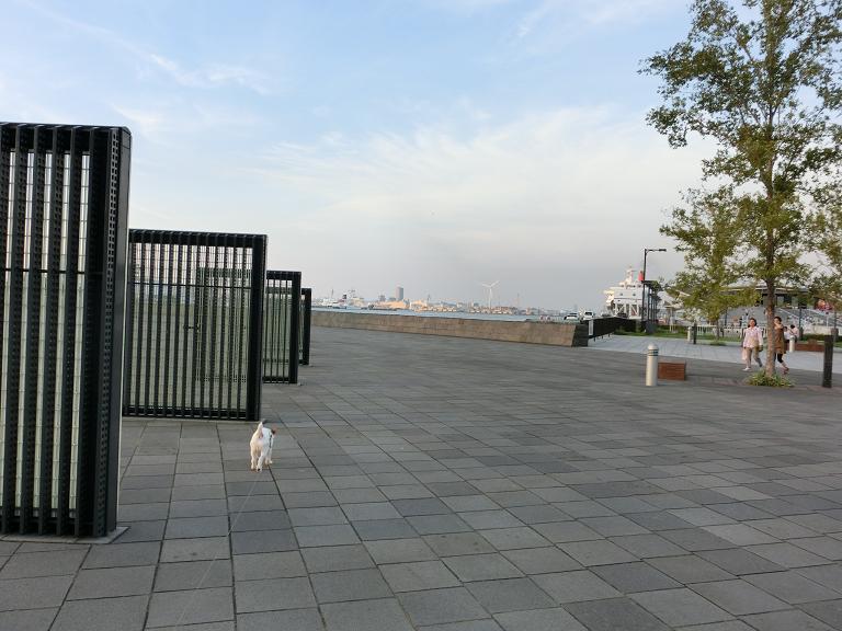 c0156345_1227289.jpg