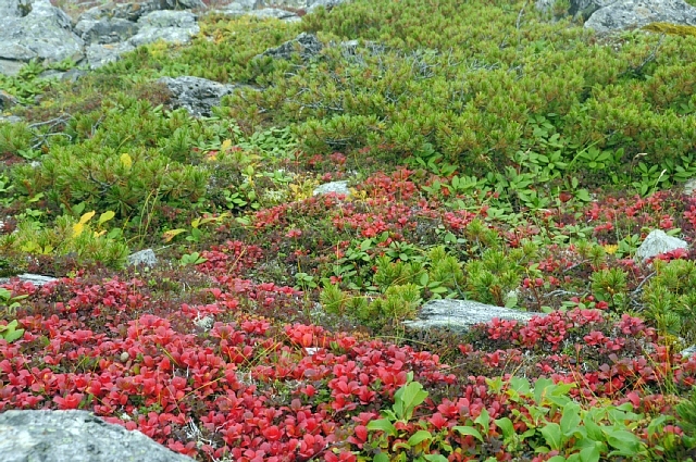 b0122448_2146911.jpg