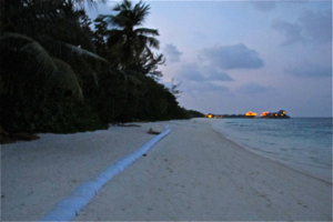 f0190653_21144780.jpg