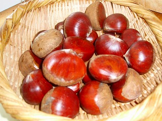 e0004756_2041011.jpg