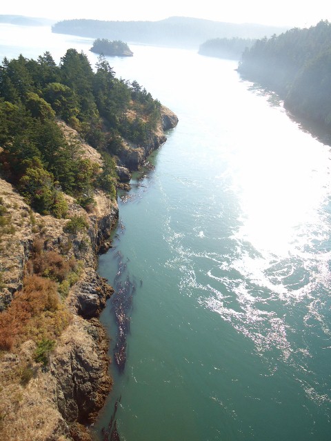 d0172957_9224327.jpg
