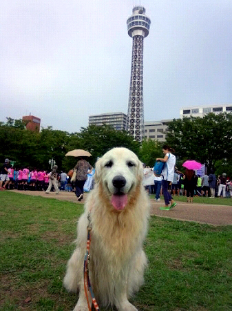 c0097558_1126497.jpg