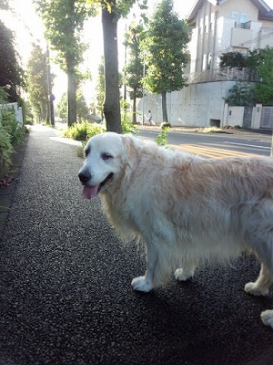 c0097558_114546.jpg