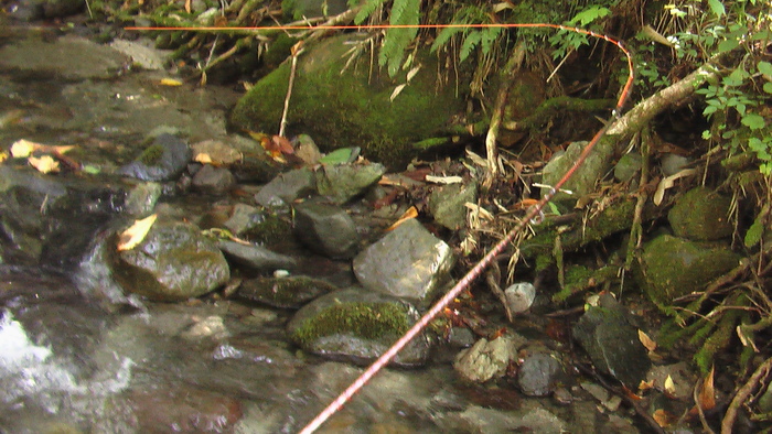 b0208961_10181693.jpg