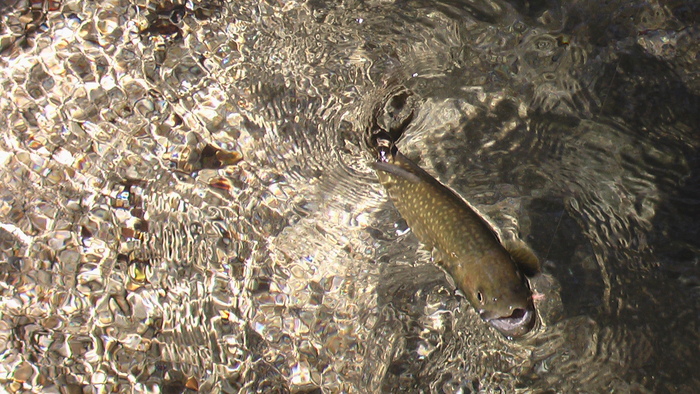 b0208961_10182510.jpg