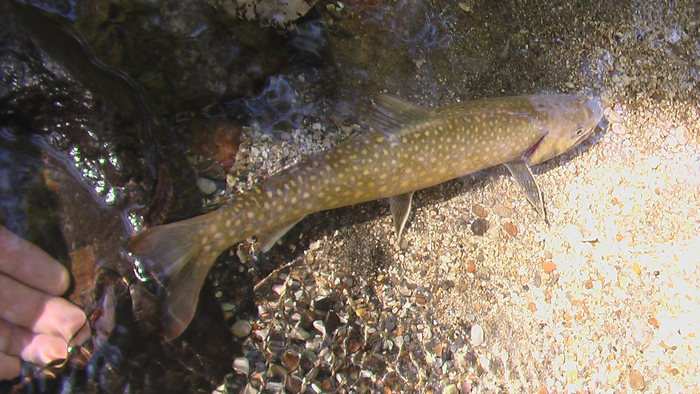 b0208961_10201842.jpg