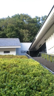 f0020662_039496.jpg