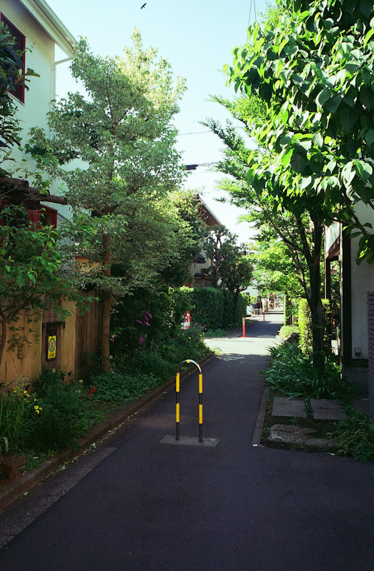 c0084666_2242203.jpg