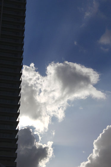 e0112077_513142.jpg