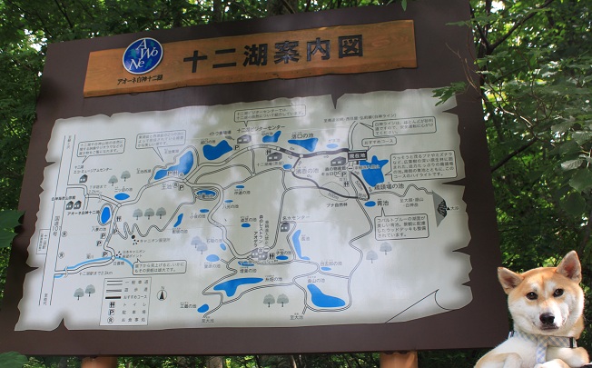 f0230777_2044249.jpg