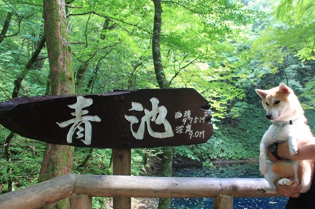 f0230777_20465793.jpg