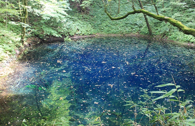 f0230777_20472486.jpg