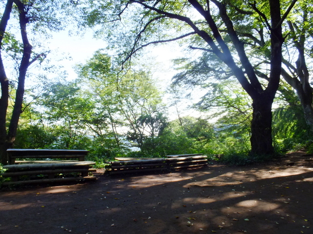 a0043982_1911237.jpg