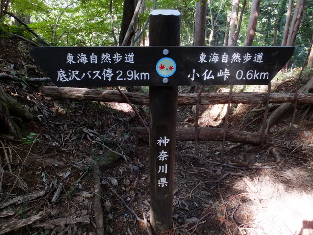 a0043982_191299.jpg