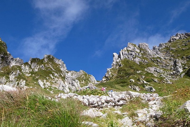f0238184_11585637.jpg