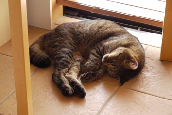 f0222692_9261825.jpg