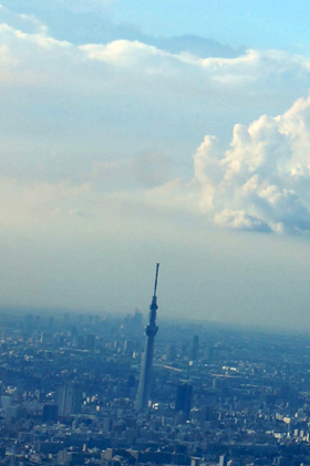 b0038402_2314696.jpg